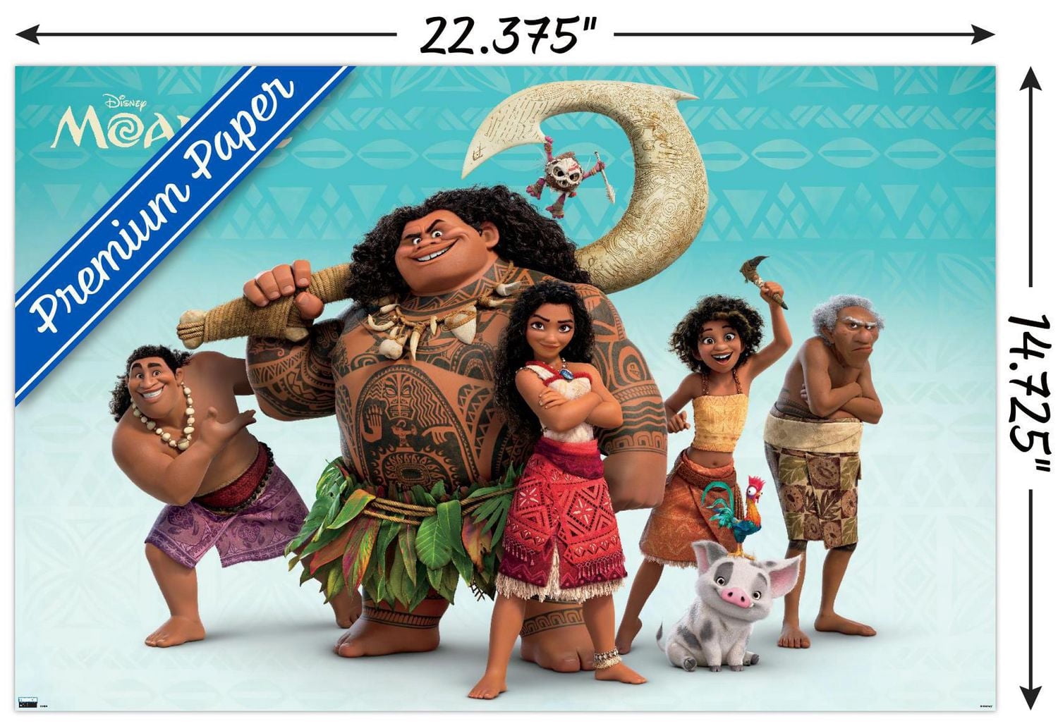 Disney Moana 2 - Groupe