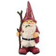 thumbnail image 1 of Arizona Cardinals Holding Stick Gnome, 1 of 1