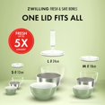 thumbnail image 4 of ZWILLING Fresh & Save BOWLS Vacuum Bowl Lid M / 18 cm, White, 4 of 10