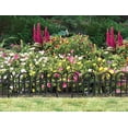 thumbnail image 4 of Exper Gardener Brand 4 Pieces Garden Plastic Decorative Fence, Ornamental Wrought Iron Style Decorative Border for Garden and Yard, Black, 4 of 5