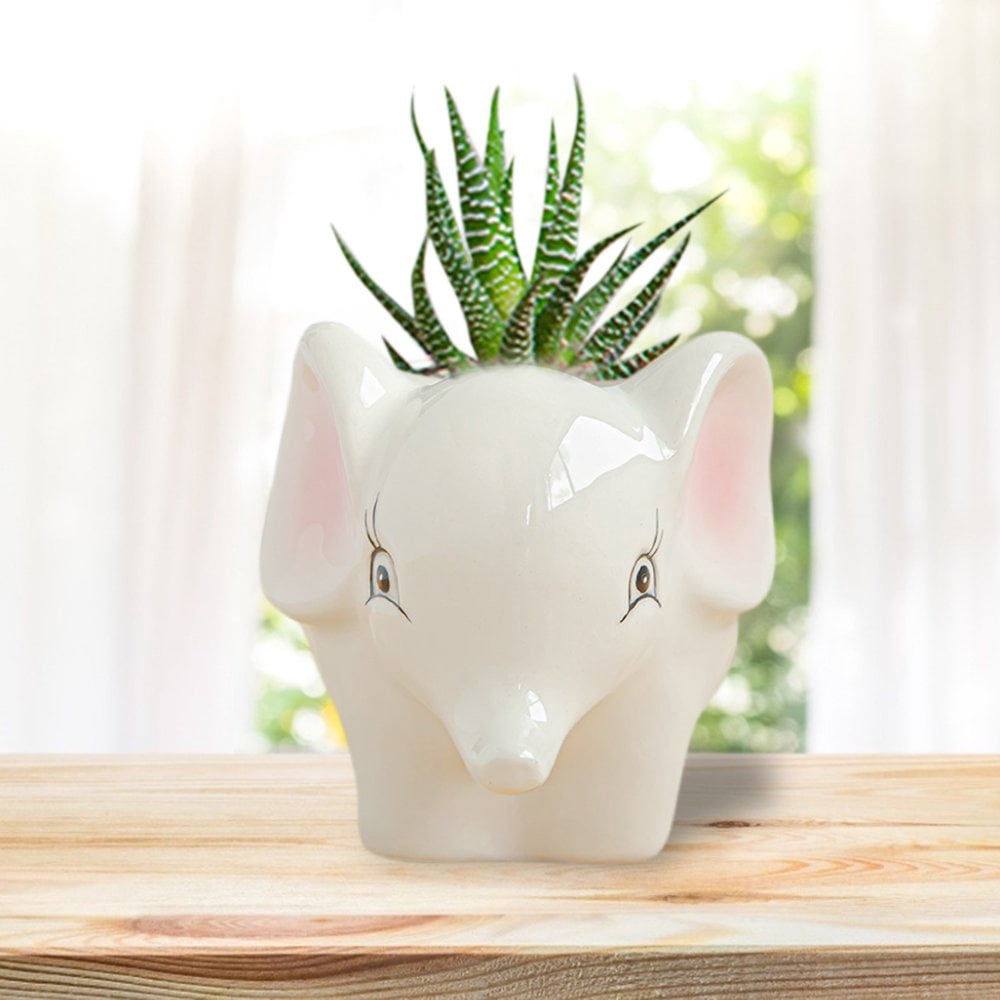 MesaSe Cute Succulent Planter Pots With Drainage Hole Flower Pot Cartoon Ceramic Pot