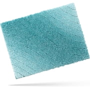DEXDE Luxury Bathroom Rug Mat, Plush Fluffy Microfiber Bath Rugs, Extra Soft and Absorbent Bathroom Mat Non-Slip, Bath Mats for Bathroom Floor, Tub and Shower, 17x24 Teal