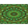 thumbnail image 1 of Ahgly Tapis Rectangulaire Lavable en Machine Intérieur Transitionnel Vert Forêt Foncé, 7 Pieds x 10 Pieds, 1 of 7