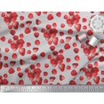 thumbnail image 2 of Soimoi Cotton Voile Fabric Raspberry,Strawberry & Cherry Fruits Decor Fabric Printed Yard 56 Inch Wide, 2 of 3