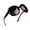 B04-Black Red Frame/Black Lens, variant on Joopin Polarized Sunglasses Womens Trendy Oversized Large Driving Sun Glasses Ladies UV Protective Big Sunnies Shades (Blue)