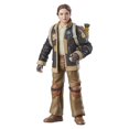 thumbnail image 1 of Star Wars The Black Series Fern, 1 of 9