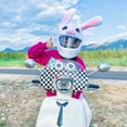 thumbnail image 4 of AMERTEER Motorcycle Helmet Cover for Full Helmets Innovative Soft Helmet Plush Cover Dust Protection Fun Helmet Cover Personalized Universal Plush Animal Helmet Covers for Christmas Gifts, 4 of 10