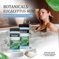 thumbnail image 3 of Spazazz LLC Cristaux Originaux - Eucalyptus Menthe (Stimulé) SPZ-101, 3 of 8