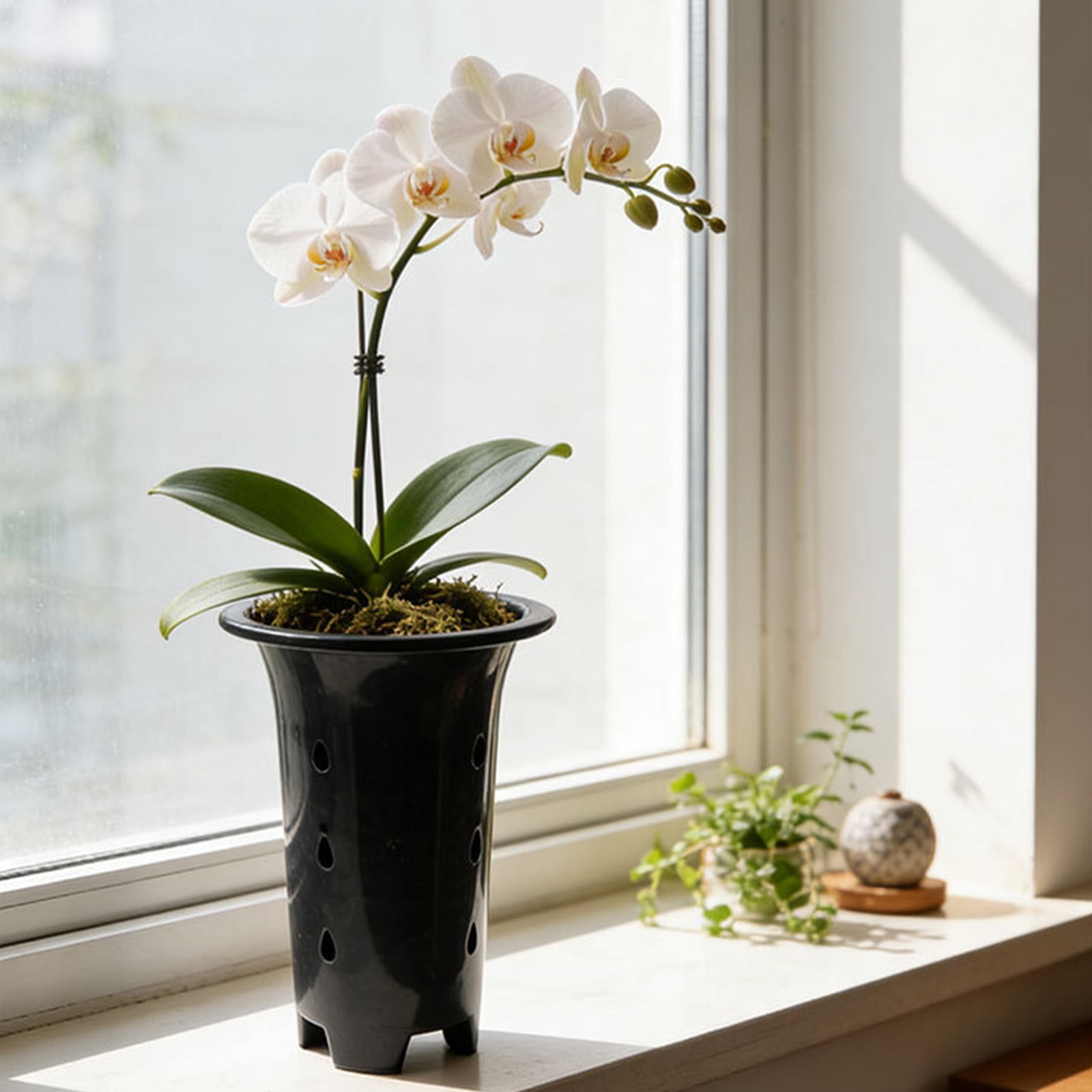 Yeciiwht Home Decor Flower Pots Orchid Pot with Auto Watering Plastic Planters, Sturdy Planters for Indoor Plants, Living Room Bedroom Decor Flower Pot