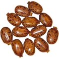 thumbnail image 1 of GSDWIUEW Géant Zanzibar Haricot Ricin 7 Graines -Ricinus - Feuille Verte Jardin, Pelouse, Approvisionnement, Entretien, 1 of 1
