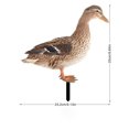 thumbnail image 3 of Poultry Decoration Courtyard Card Size Hen Card Decoration Courtyard Decoration Acrylic Double Sided Printing Party Card Animal Rowsgarden Decoration Gardening Decoration, 3 of 3