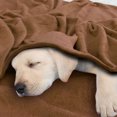 thumbnail image 4 of PiccoCasa 1 Pcs Home Warm Soft Microplush Fleece Solid Throw Blanket Chocolate Color 70" x 78", 4 of 9