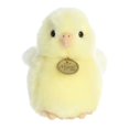 thumbnail image 2 of Aurora Stuffed Animals -Ameraucana Chick 5.5", 2 of 2