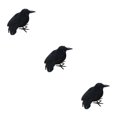thumbnail image 4 of kurtrusly Horreur Accessoires pour Halloween - Haute Simulation Ornement de Corbeau Noir pour Corbeau Volant 3Set, 4 of 6