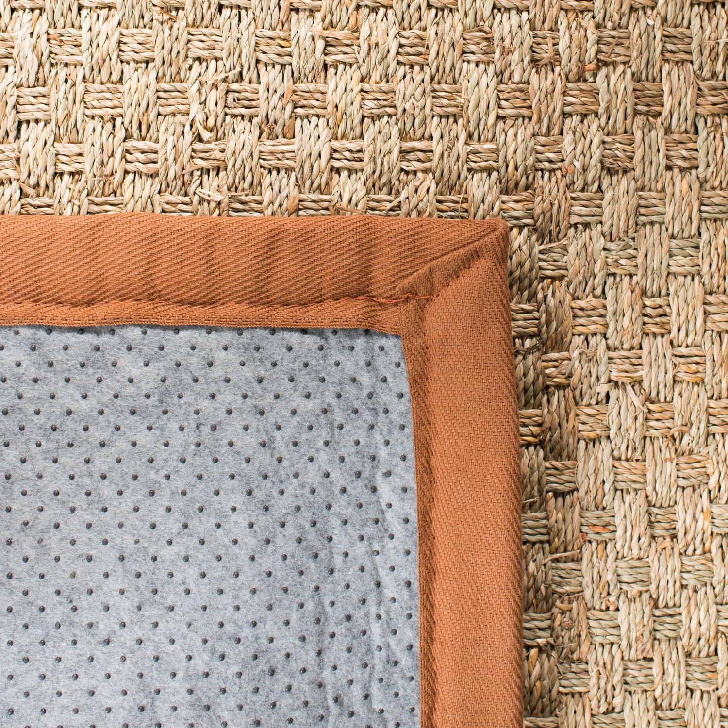Safavieh Natural Fiber Arbor Border Area Rug