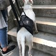 thumbnail image 3 of Pet Safety Care  Assistive Belt For Elderly Disabled And Injured Dogs  For Hind Legs  Buttocks Support Harness, 3 of 6