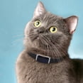 thumbnail image 4 of Jouets pour Chien Lit pour Chien Localisateur GPS Collier pour Animal Chat Animal Imperméable Perte Antivol, 4 of 7
