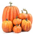 thumbnail image 1 of 7Pcs Simulation Artificial Pumpkins Halloween Decoration Harvest Fall Thanksgiving Home Decor, 1 of 8