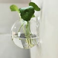 thumbnail image 1 of Nilvkv Creatives Wall Hanging Vase Semi-Round Transparent Hydroponic Glass Crafts Home Decoration Vases, 1 of 4