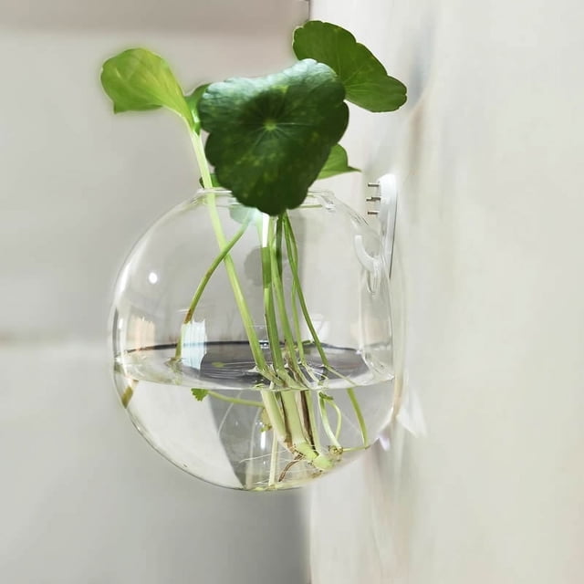 Nilvkv Creatives Wall Hanging Vase Semi-Round Transparent Hydroponic Glass Crafts Home Decoration Vases