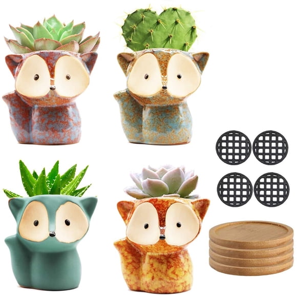 JHIJHOO Succulent Pots Small Succulent Planters Ceramic Flower Pot Garden Planters Cute Cactus Plant Pot（1pcs）