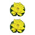 thumbnail image 3 of QualitChoice Artificial Lotus Replacement Simulation Outdoor Garden Park Pond Pool Photography Fake Water Flower Decor Yellow 2PCS, 3 of 6