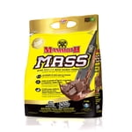 Mammoth Mass Rich Chocolate 5lb