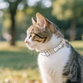 thumbnail image 3 of Durable Reflective Dog Collar with Heavy Duty Metal Buckle Adjustable and Comfortable Pet Collar for Medium and Large Dogs, 3 of 4