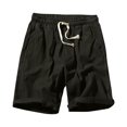 thumbnail image 1 of Birdeem Mens Shorts Mens Summer Leisure Sports Elastic Waist Solid Color Drawstring Pocket Shorts, 1 of 12