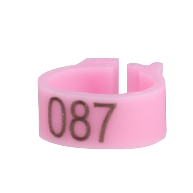 Bandes pour les Jambes, Anneaux Réutilisables de 6 Couleurs Différentes, pour Lettre