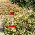 thumbnail image 3 of MEKKAPRO Outdoor Hummingbird Feeder Made from Glass Hanging 5 Nectar Feeding Stations Bright Red, 3 of 8