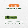thumbnail image 2 of Greenies Original PETITE Oral Care Natural Dental Adult Dog Treats, 2 of 14