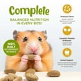 thumbnail image 3 of Living World Complete Hamster Food, 1.5 kg, 3 of 7