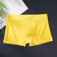 thumbnail image 1 of DPTALR Ice Silk Thin Style Traceless Boxers Business Breathable Men's Summer Comfortable Boxers, 1 of 3