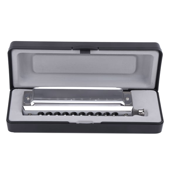 Playing Mouth Organ,Chromatic Harmonica 10 Hole Hole Harmonica Sided Harmonica Smart Functionality