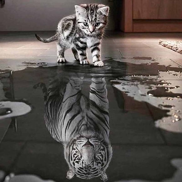 Yeacher 12 * 12 inches/30 * 30cm DIY 5D Diamond Painting Kit Cat Pattern Resin Rhinestone Mosaic Embroidery Cross Stitch Craft Home Wall Decor