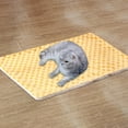 thumbnail image 3 of Tapis Couverture Réversible Doux pour Lit Confortable Coussin Chaud et Douillet Tapis de Sommeil avec Dessous Durable pour Usage Intérieur et Extérieur Lavable et Entretien Facile, 3 of 5