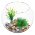 thumbnail image 3 of HLONK Round Glass Fish Bowl for Betta Goldfish Flower Vase, 3 of 10