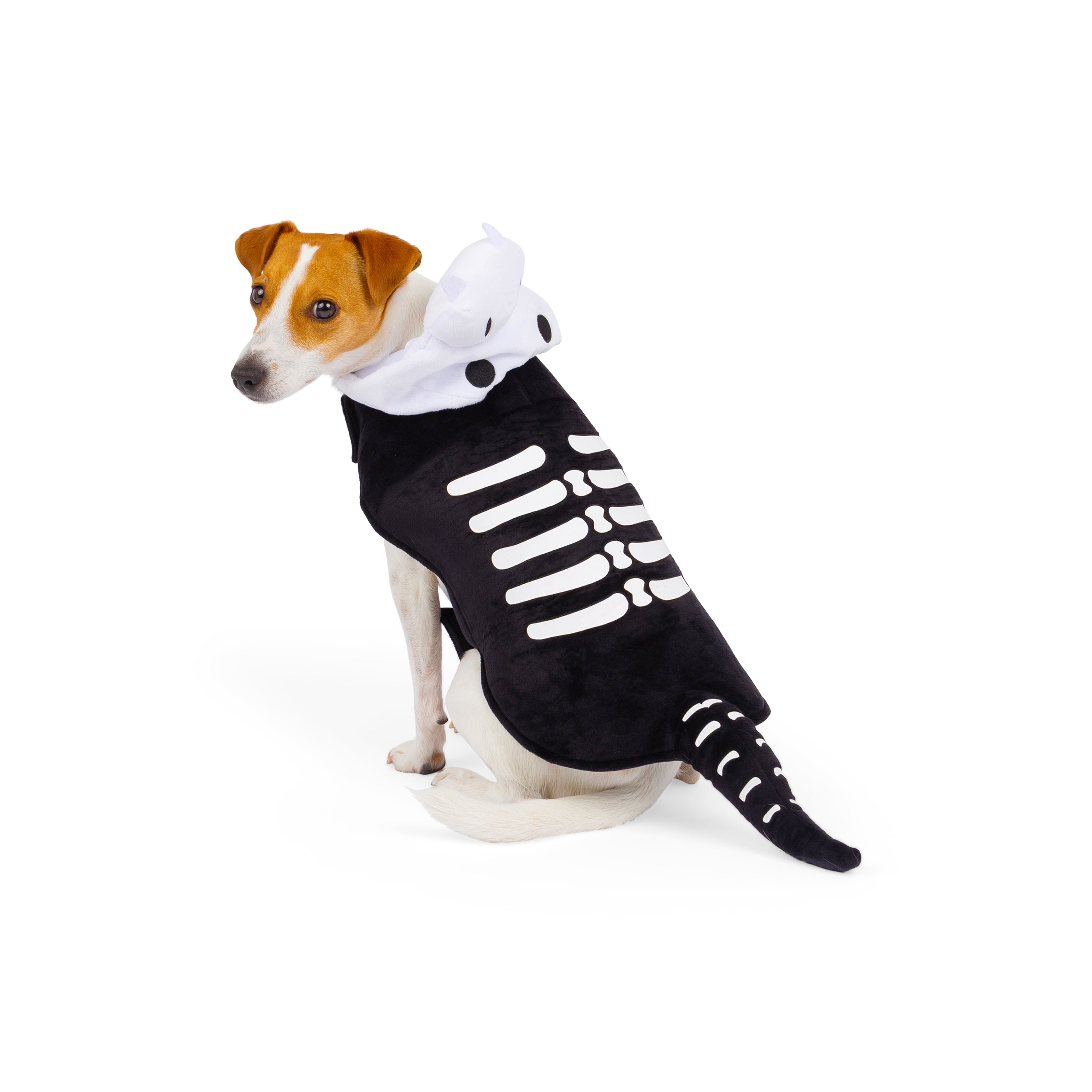 Costume de squelette de dinosaure pour chien One Paw, Halloween