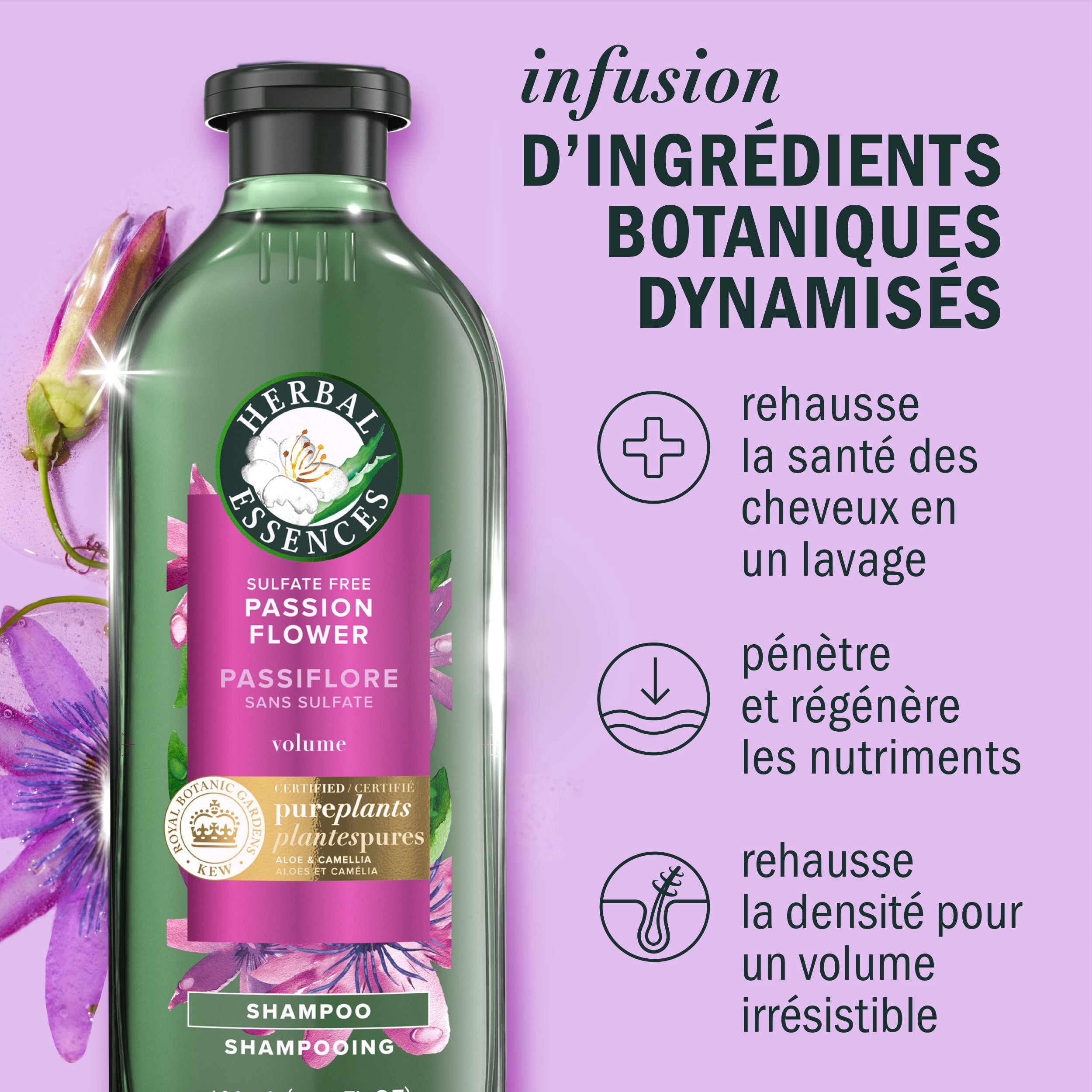 Shampooing sans sulfate Herbal Essences Abondants et épais à la passiflore, 400 mL