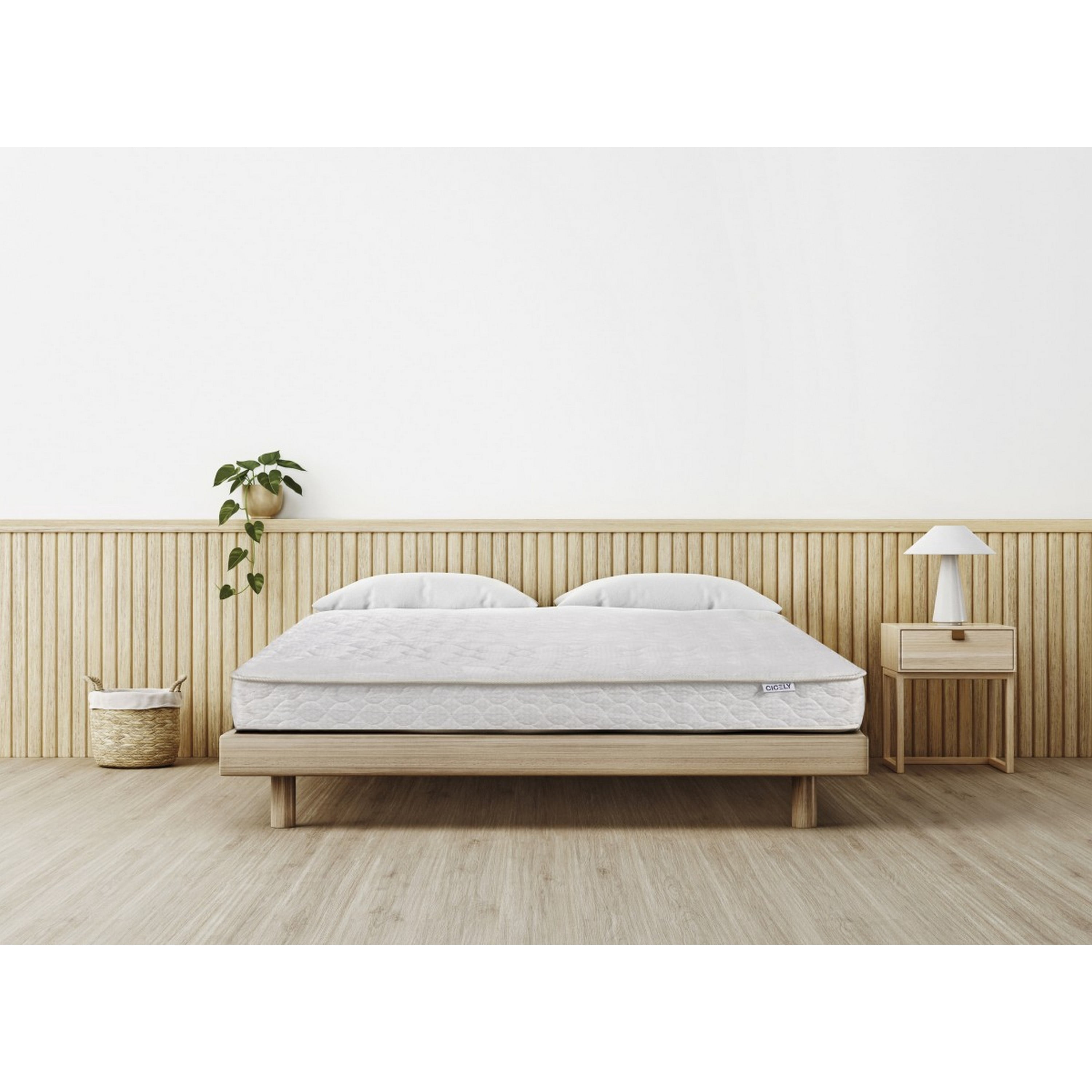 Brassex Twin Bonnell Coil Mattress with CertiPUR-US Foam Support, 6.5-Inch Rolled Mattress in a Box
