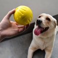 thumbnail image 4 of MesaSe 1PC Indestructible en Caoutchouc Formation Balle Chien Jouet avec Support Corde Morsure Résistant, 4 of 5