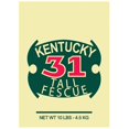 thumbnail image 1 of Barenbrug 16210 10 lbs. Ky-31 Grass Seed, 1 of 1