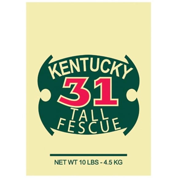 Barenbrug 16210 10 lbs. Ky-31 Grass Seed