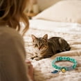 thumbnail image 4 of Pet Collars Cat Collar Breakaway And Pendant Adjustable Collars For Small Cats Party Collar Neck Ring, 4 of 4