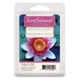 thumbnail image 1 of ScentSationals Water Lily and Lotus Scented Wax Cubes, 1 of 2