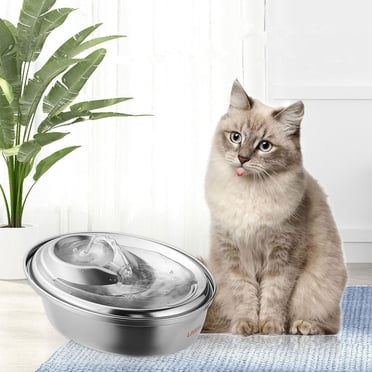 2L Stainless Steel Cat Water Fountain, Super Quiet Adjustable Water Flow Automatic Pet Water Drinking Dispenser (67oz)