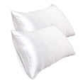 thumbnail image 1 of Agiferg 20*30 Inch Satin Pillowcase, Imitation Silk Pillowcase (2pc), 1 of 1