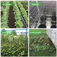thumbnail image 3 of Filet Trelli Robuste pour Plantes, Filet de Soutien pour Grimper sur les Vignes, 5 X 30 Pi HU3749, 3 of 9