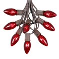 thumbnail image 1 of Novelty Lights 25 Foot C9 Twinkle Outdoor Patio Christmas String Lights, 1 of 5